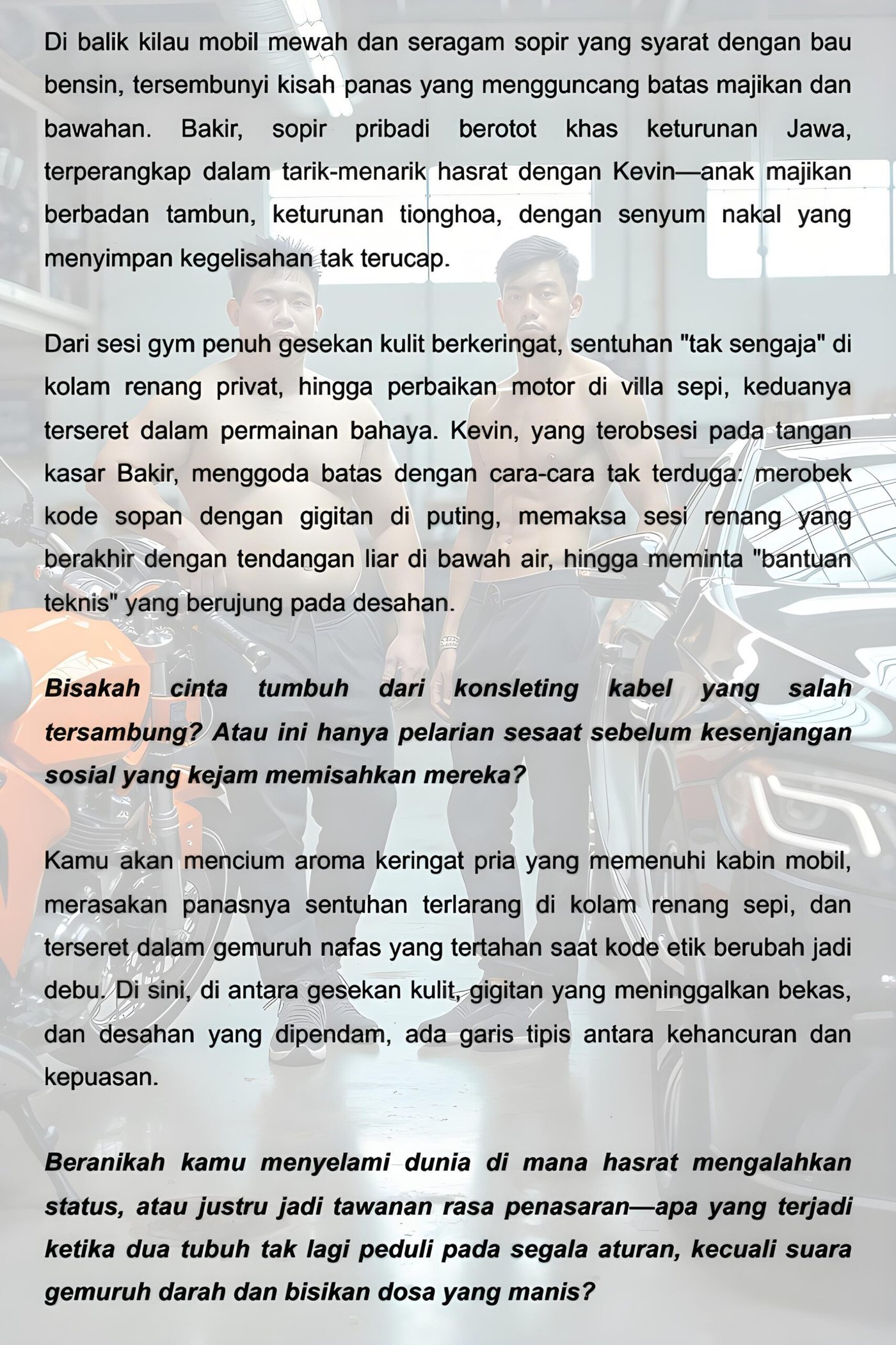 Sopir Hoki - Gambar 2